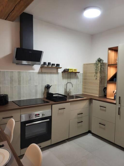 O Bon'Endroit - Appartement Confort - Centre Ville Vienne  Zewnętrze zdjęcie